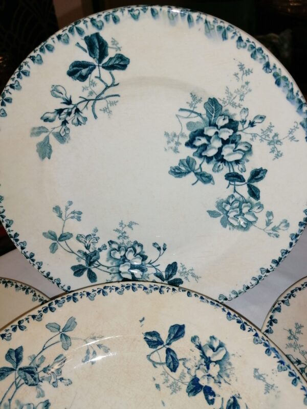 Assiette plate terre de fer Saint Amand et Hamage modèle Acacia