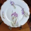 12 Assiettes à dessert en porcelaine de Limoges JR décor Iris