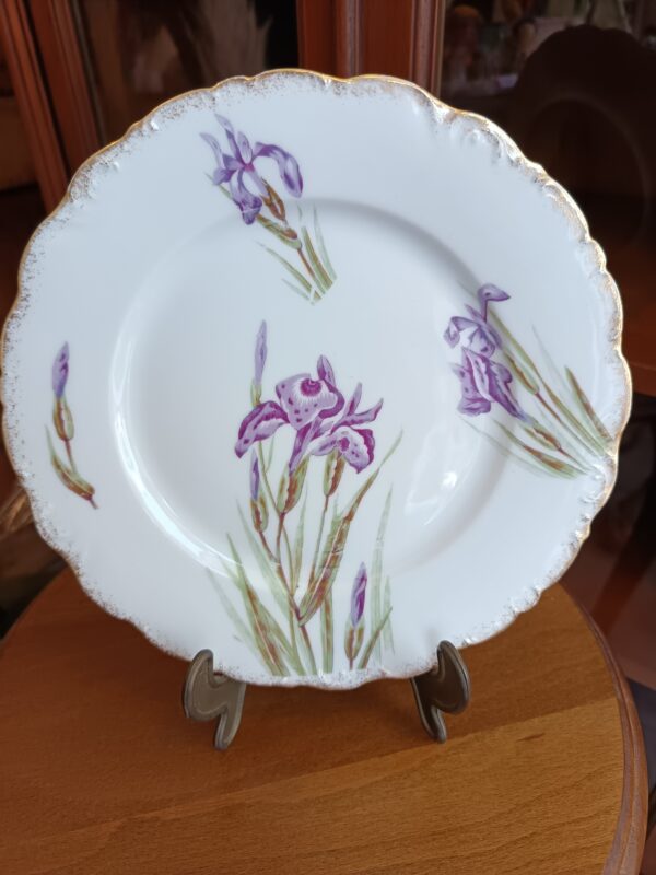 12 Assiettes à dessert en porcelaine de Limoges JR décor Iris