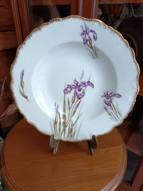 6 Assiettes creuses en porcelaine de Limoges JR décor Iris