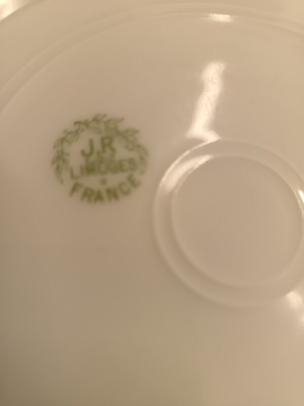 12 Assiettes plates en porcelaine de Limoges JR décor Iris