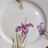12 Assiettes plates en porcelaine de Limoges JR décor Iris