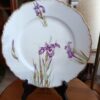 12 Assiettes plates en porcelaine de Limoges JR décor Iris