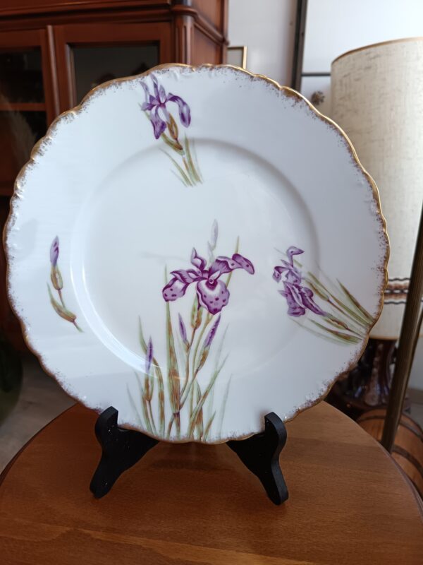 12 Assiettes plates en porcelaine de Limoges JR décor Iris