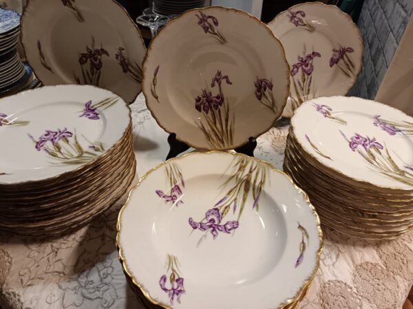 12 Assiettes plates en porcelaine de Limoges JR décor Iris